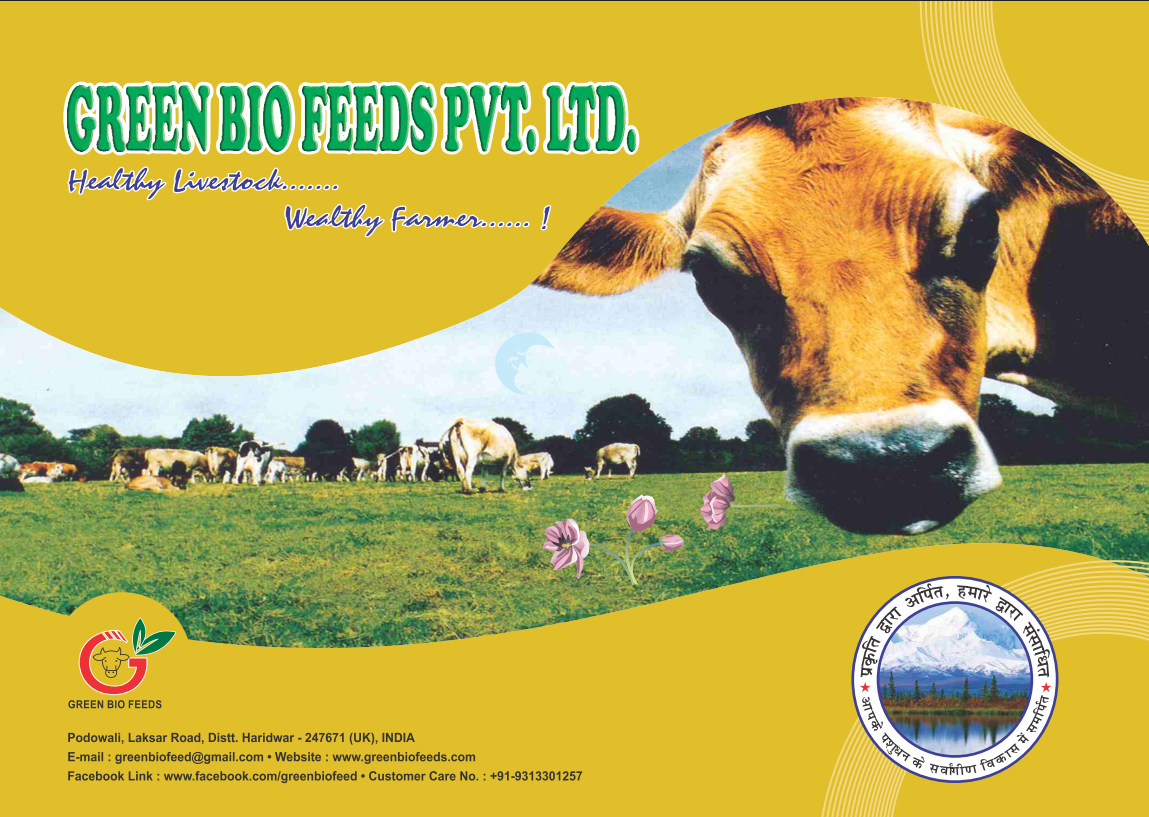 Ayurvedic Products